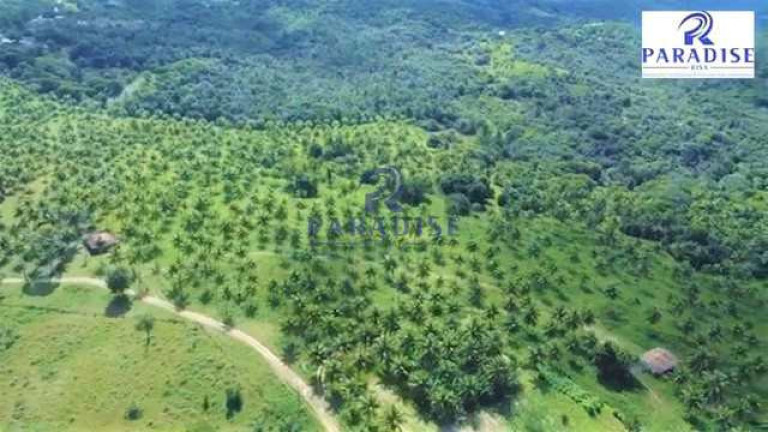 Imagem Fazenda à Venda, 2.790.700 m² em Zona Rural - Entre Rios Imagem Fazenda à Venda, 2.790.700 m² em Zona Rural - Entre Rios