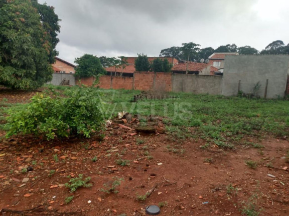 Imagem Imóvel com 1 Quarto à Venda, 2.970 m² em Vila Apolo - Itapetininga Imagem Imóvel com 1 Quarto à Venda, 2.970 m² em Vila Apolo - Itapetininga
