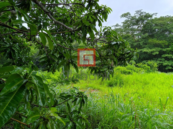 Imagem Imóvel com 3 Quartos à Venda,  em Zona Rural - Montes Claros
