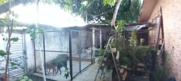 Imagem Casa com 3 Quartos à Venda, 90 m² em Nossa Senhora Da Conceição - Paulista Imagem Casa com 3 Quartos à Venda, 90 m² em Nossa Senhora Da Conceição - Paulista