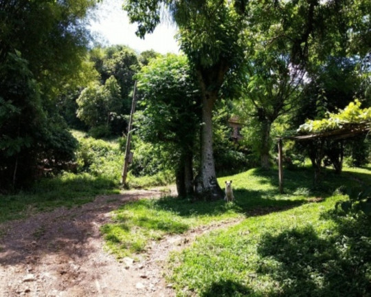 Imagem Imóvel com 4 Quartos à Venda, 88 m² em Vila Olinda - Nova Petrópolis Imagem Imóvel com 4 Quartos à Venda, 88 m² em Vila Olinda - Nova Petrópolis