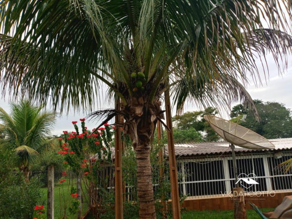 Imagem Chácara à Venda, 2.240 m² em Alvorada Do Sul Imagem Chácara à Venda, 2.240 m² em Alvorada Do Sul