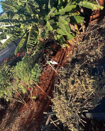 Terreno à Venda, 545 m² em Zona 08 - Maringá