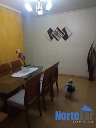 Imagem Apartamento com 3 Quartos à Venda, 63 m² em Vila Nova Cachoeirinha - São Paulo