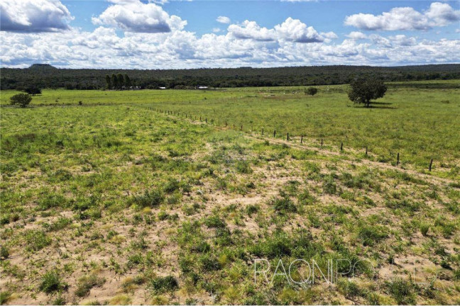 Imagem Fazenda à Venda, 18.420.000 m² em Zona Rural - Darcinópolis Imagem Fazenda à Venda, 18.420.000 m² em Zona Rural - Darcinópolis