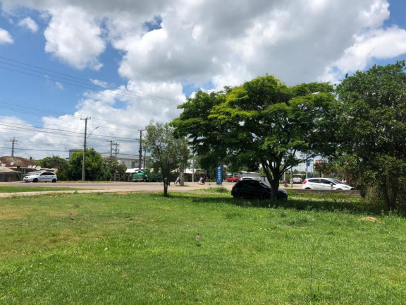 Imagem Terreno à Venda, em 25 De Julho - Campo Bom Imagem Terreno à Venda, em 25 De Julho - Campo Bom