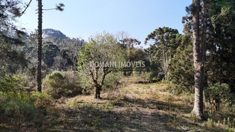 Imagem Imóvel à Venda, em Região Do Atalaia - Campos Do Jordão Imagem Imóvel à Venda, em Região Do Atalaia - Campos Do Jordão