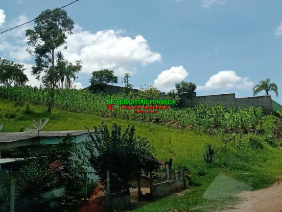 Imagem Terreno à Venda, 1 m² em Centro - Paraibuna