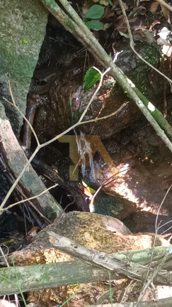 Imagem Terreno à Venda, em Sertão Do Canguiri - Imaruí Imagem Terreno à Venda, em Sertão Do Canguiri - Imaruí