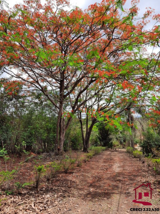 Imagem Imóvel com 2 Quartos à Venda, 350 m² em Barrania - Barrânia