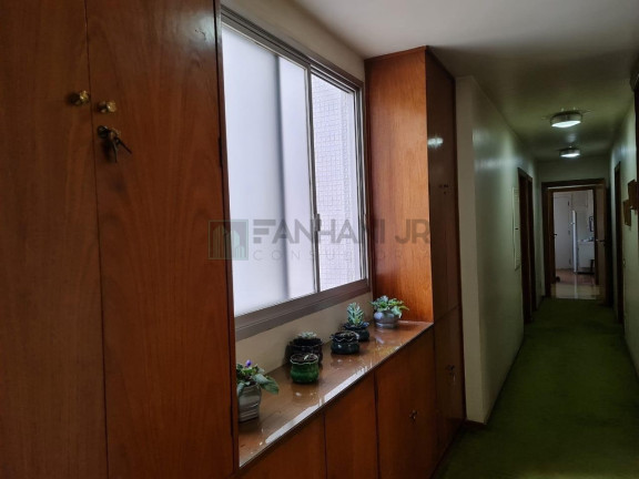 Imagem Imóvel com 3 Quartos à Venda, 250 m² em Jardim Europa - São Paulo Imagem Imóvel com 3 Quartos à Venda, 250 m² em Jardim Europa - São Paulo