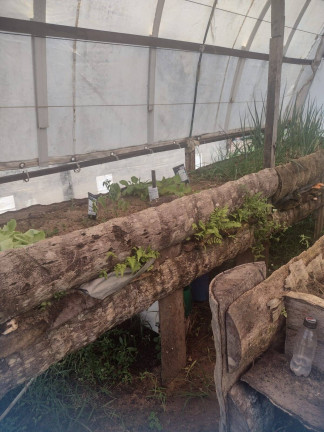 Imagem Chácara com 1 Quarto à Venda, 9.000 m² em Piau - Tibau Do Sul