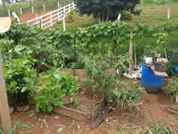 Imagem Chácara com 8 Quartos à Venda, 300 m² em Freitas - São José Dos Campos Imagem Chácara com 8 Quartos à Venda, 300 m² em Freitas - São José Dos Campos