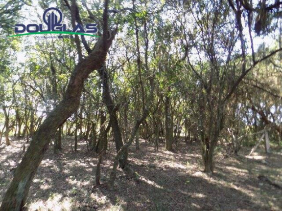 Imagem Chácara à Venda, 20.000 m² em águas Claras - Viamão Imagem Chácara à Venda, 20.000 m² em águas Claras - Viamão