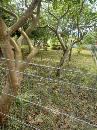 Imagem Terreno à Venda, 300 m² em Alto Arroio - Imbituba Imagem Terreno à Venda, 300 m² em Alto Arroio - Imbituba