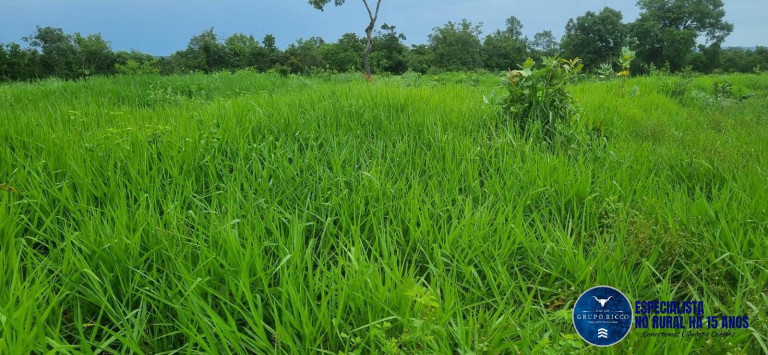 Imagem Fazenda à Venda, 30 m² em Setor Central - Crixás Imagem Fazenda à Venda, 30 m² em Setor Central - Crixás