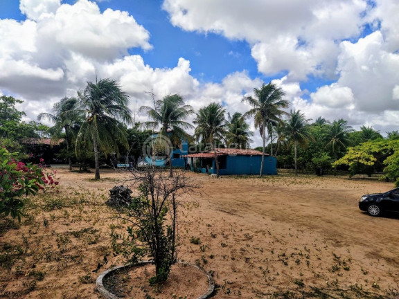 Imagem Fazenda à Venda, 6.400 m² em Pium - Nísia Floresta Imagem Fazenda à Venda, 6.400 m² em Pium - Nísia Floresta