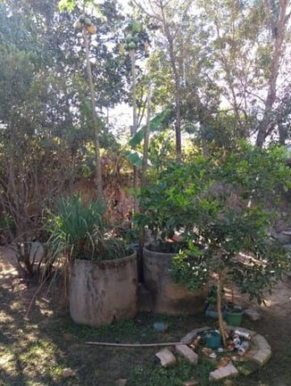 Imagem Casa com 2 Quartos à Venda, 30 m² em Cidade Jardim - Esmeraldas