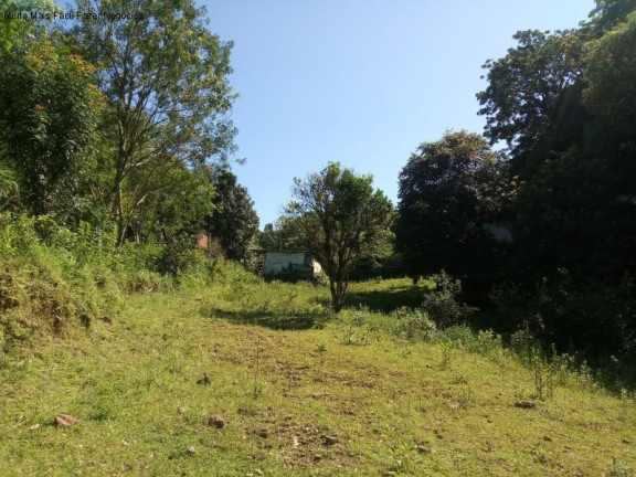 Imagem Terreno à Venda, 3.500 m² em Piá - Nova Petrópolis Imagem Terreno à Venda, 3.500 m² em Piá - Nova Petrópolis