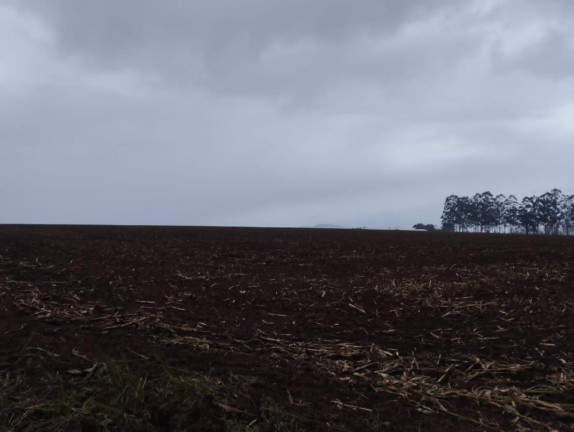 Imagem Fazenda à Venda, 76 m² em Rural - Taquarituba Imagem Fazenda à Venda, 76 m² em Rural - Taquarituba