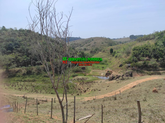 Imagem Chácara com 2 Quartos à Venda, 20.000 m² em Canaã - Jambeiro Imagem Chácara com 2 Quartos à Venda, 20.000 m² em Canaã - Jambeiro