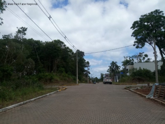 Imagem Terreno à Venda, 506 m² em Juriti - Nova Petrópolis Imagem Terreno à Venda, 506 m² em Juriti - Nova Petrópolis