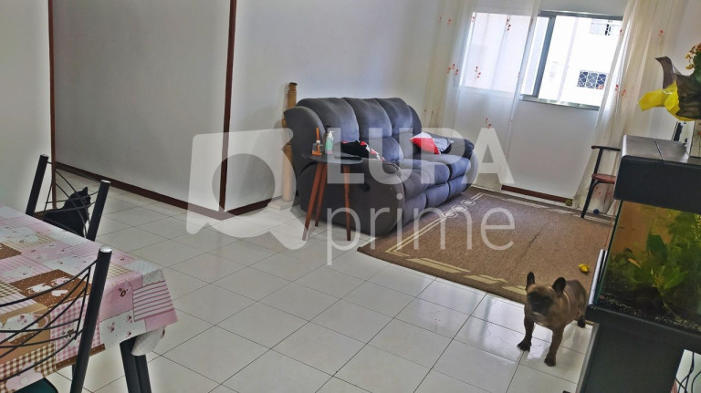 Apartamento com 3 Quartos à Venda, 90 m² em Tucuruvi - São Paulo