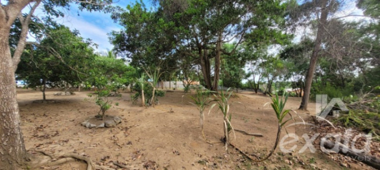 Imagem Chácara com 2 Quartos à Venda, 150 m² em Marbella - Serra