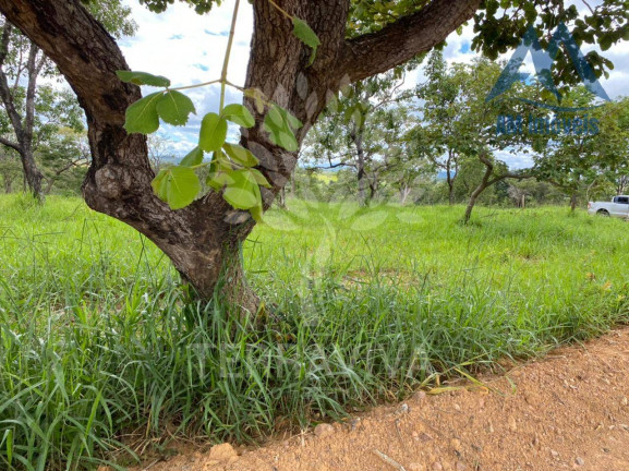 Imagem Fazenda à Venda, 20.000 m² em São José De Almeida - Jaboticatubas Imagem Fazenda à Venda, 20.000 m² em São José De Almeida - Jaboticatubas