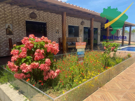 Imagem Chácara com 4 Quartos à Venda, 2.800 m² em Zona Rural - Porto Seguro