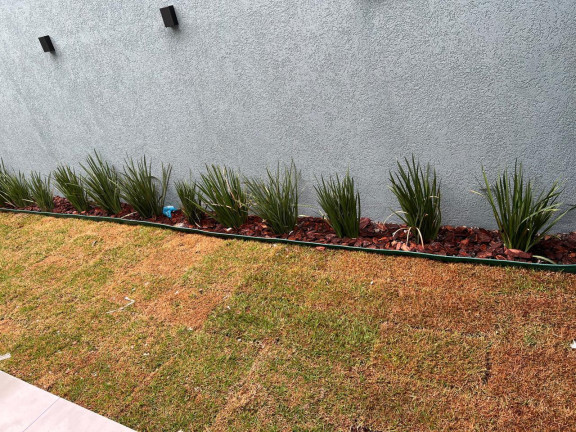 Imagem Sobrado com 3 Quartos à Venda, 10 m² em Coronel Antonino - Campo Grande