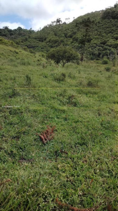 Imagem Terreno à Venda, 4 m² em Bairro Alto - Natividade Da Serra Imagem Terreno à Venda, 4 m² em Bairro Alto - Natividade Da Serra