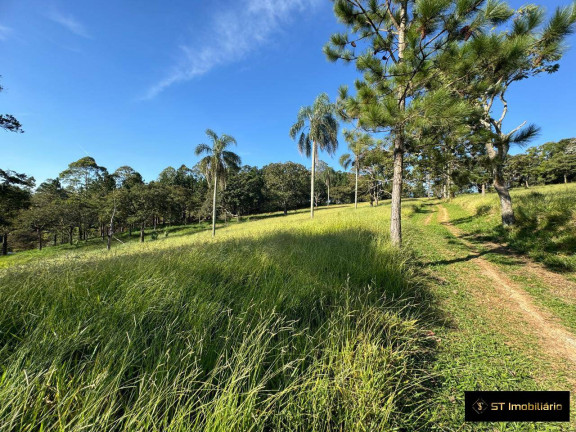 Imagem Terreno à Venda, 48.000 m² em Terra Preta (terra Preta) - Mairiporã