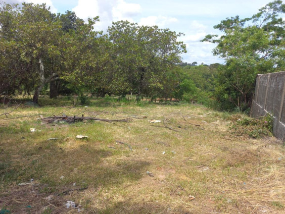Imagem Terreno à Venda, 1.600 m² em Centro - Getulina
