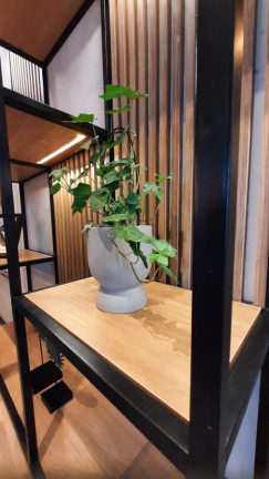 Imagem Apartamento com 2 Quartos à Venda, 70 m² em Canto Do Forte - Praia Grande Imagem Apartamento com 2 Quartos à Venda, 70 m² em Canto Do Forte - Praia Grande