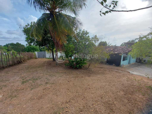 Imagem Fazenda à Venda, 2.000 m² em Zona Rural - São José De Mipibu Imagem Fazenda à Venda, 2.000 m² em Zona Rural - São José De Mipibu