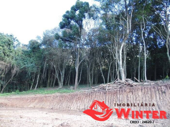 Imagem Terreno à Venda, 400 m² em Arroio Do Ouro - Vale Real Imagem Terreno à Venda, 400 m² em Arroio Do Ouro - Vale Real