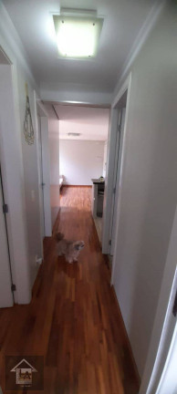Imagem Apartamento com 3 Quartos à Venda, 62 m² em Vila Andrade - São Paulo