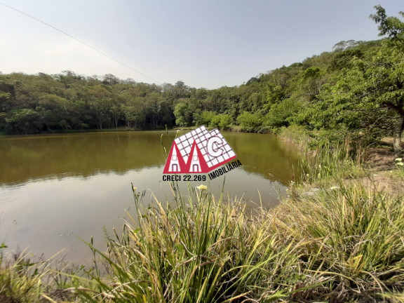 Imóvel com 3 Quartos à Venda, 310.000 m² em Vila Elvio - Piedade