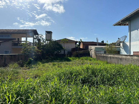 Imagem Terreno à Venda, 300 m² em Pinheiros - Balneário Barra Do Sul Imagem Terreno à Venda, 300 m² em Pinheiros - Balneário Barra Do Sul