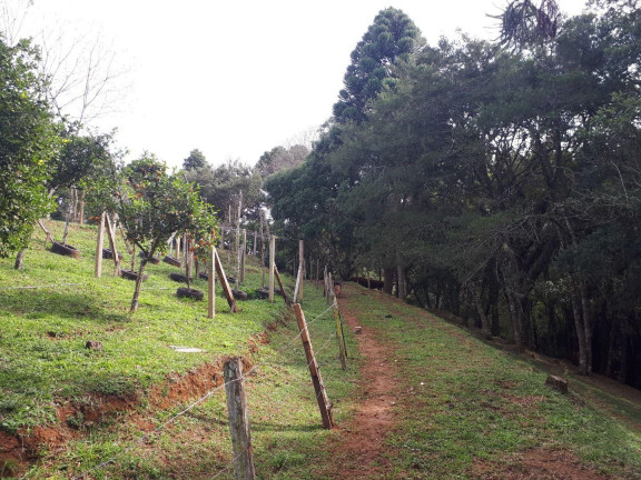 Imagem Imóvel à Venda, 77.000 m² em Barigui - Araucária Imagem Imóvel à Venda, 77.000 m² em Barigui - Araucária