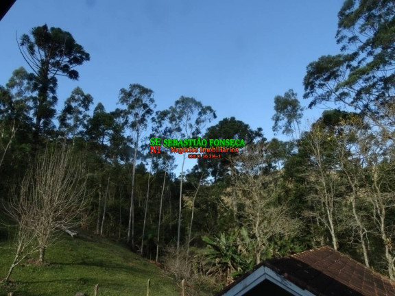 Imagem Chácara com 3 Quartos à Venda, 128.000 m² em São Francisco Xavier - São José Dos Campos