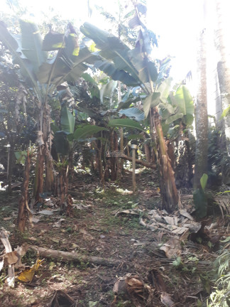 Imagem Imóvel com 3 Quartos à Venda, em Centro - São João Batista Imagem Imóvel com 3 Quartos à Venda, em Centro - São João Batista