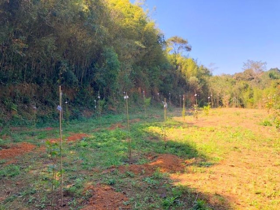 Imagem Terreno à Venda, 5.017 m² em Chácara Das Candeias - Carapicuíba Imagem Terreno à Venda, 5.017 m² em Chácara Das Candeias - Carapicuíba