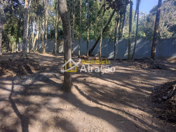 Imagem Imóvel com 2 Quartos à Venda, 3.800 m² em Aruã - Mogi Das Cruzes