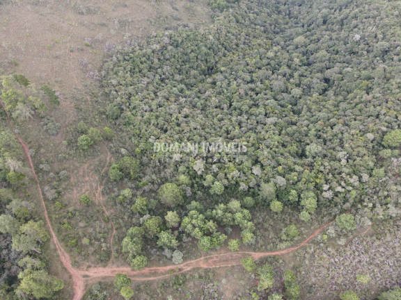 Imagem Imóvel à Venda, 162.000 m² em Região Do Alto Do Capivari - Campos Do Jordão Imagem Imóvel à Venda, 162.000 m² em Região Do Alto Do Capivari - Campos Do Jordão