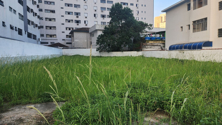 Imagem Terreno para Alugar, 900 m² em Ponta Da Praia - Santos Imagem Terreno para Alugar, 900 m² em Ponta Da Praia - Santos