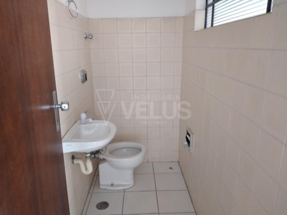 Imagem Imóvel para Alugar, 25 m² em Centro - Itapetininga Imagem Imóvel para Alugar, 25 m² em Centro - Itapetininga
