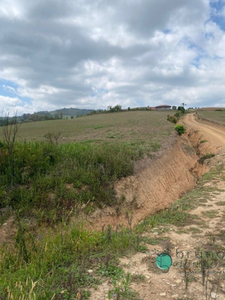 Imagem Imóvel à Venda, 1.600.000 m² em Zona Rural - Vidal Ramos Imagem Imóvel à Venda, 1.600.000 m² em Zona Rural - Vidal Ramos