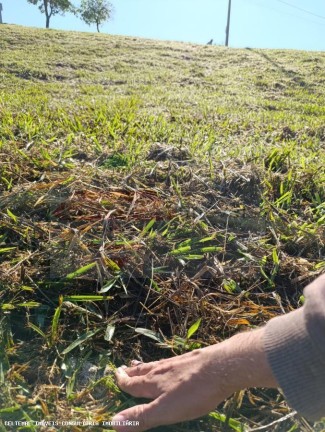 Imagem Terreno à Venda, 307 m² em Condominio Cataguá Way - Taubaté Imagem Terreno à Venda, 307 m² em Condominio Cataguá Way - Taubaté